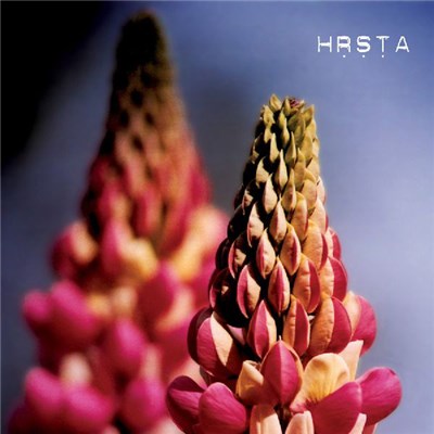HṚṢṬA - Ghosts Will Come And Kiss Our Eyes download mp3 flac