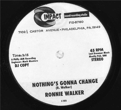 Ronnie Walker - Nothing's Gonna Change download mp3 flac