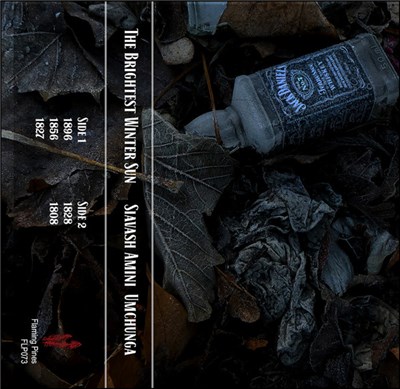 Siavash Amini + Umchunga - The Brightest Winter Sun download mp3 flac
