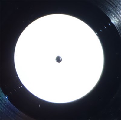 Natural Born Grooves - Universal Love download mp3 flac