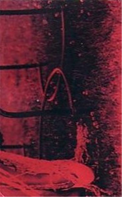 Pop Culture Rape Victim / The Cherry Point - Split download mp3 flac