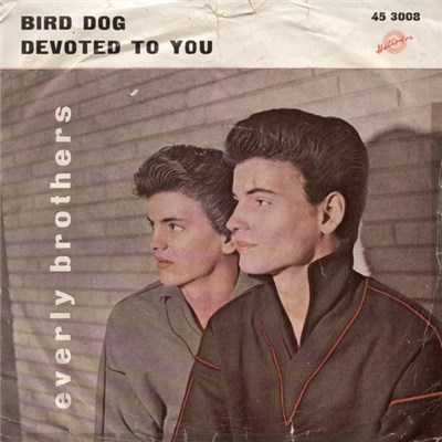 The Everly Brothers - Bird Dog / Devoted To You download mp3 flac