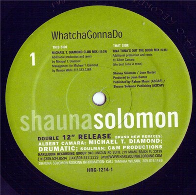 Shauna Solomon - Whatcha Gonna Do (Remixes) download mp3 flac