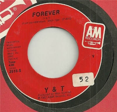 Y & T - Forever download mp3 flac