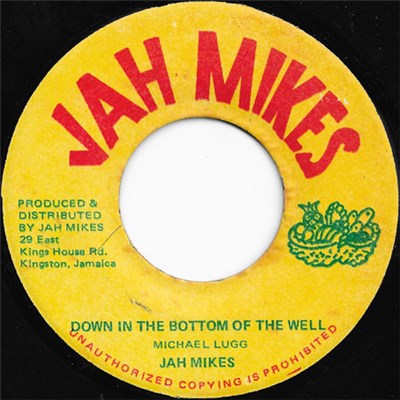 Jah Mikes - Down In The Bottom Of The Well download mp3 flac