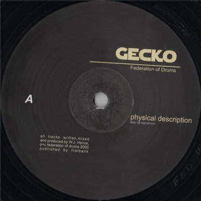 Gecko - Physical Description download mp3 flac