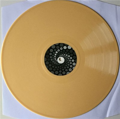 Various - The Polytechnic Youth Label "They Make No Say" | 45s on 33 download mp3 flac