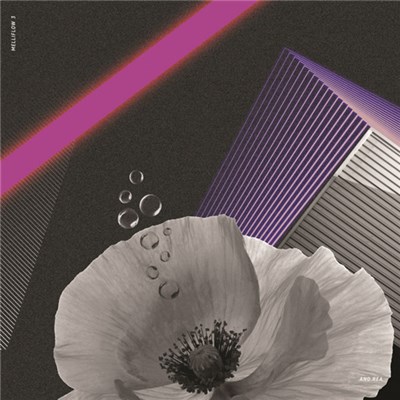 And.rea - Perception Of Objective Reality download mp3 flac