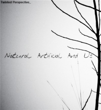 Twisted Perspective - Natural, Artificial And Us download mp3 flac