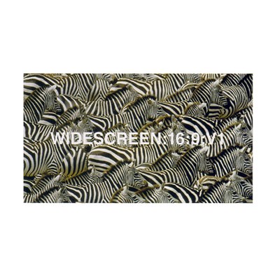 Various - Widescreen:16:9:V1 download mp3 flac