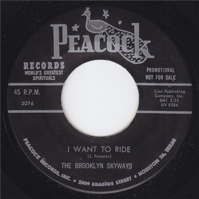 The Brooklyn Skyways - I Want To Ride / Banks Of The River download mp3 flac