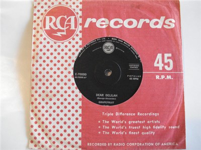 The Grapefruit - Dear Delilah download mp3 flac