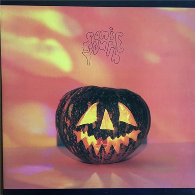 Sonic Youth - Walls Have Ears download mp3 flac