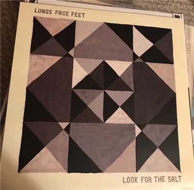 Lungs Face Feet - Look For The Salt download mp3 flac