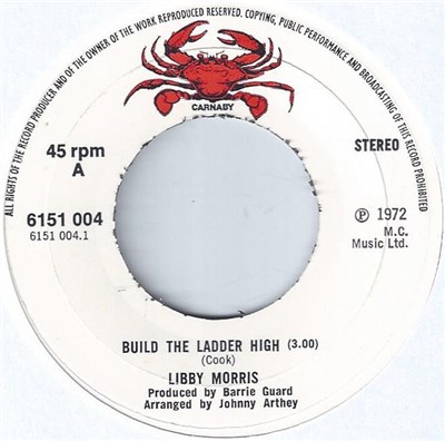 Libby Morris - Build The Ladder High download mp3 flac