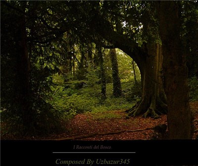 Uzbazur345 - I Racconti Del Bosco - L'Alchimia Della Natura download mp3 flac