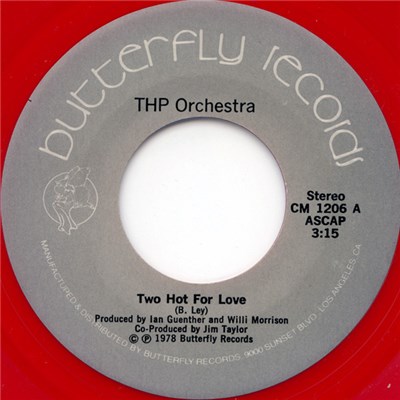 THP Orchestra - Two Hot For Love download mp3 flac
