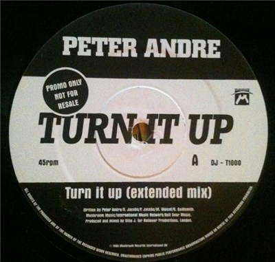 Peter Andre - Turn It Up download mp3 flac
