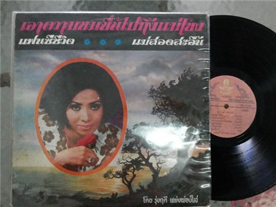 รุ่งฤดี แพ่งผ่องใส - เอาความขมขื่นไปทิ้งแม่โขง download mp3 flac