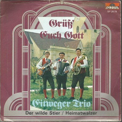 Eitweger-Trio - Der Wilde Stier / Heimatwalzer download mp3 flac
