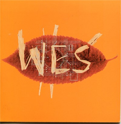 Wes - Awa Awa download mp3 flac