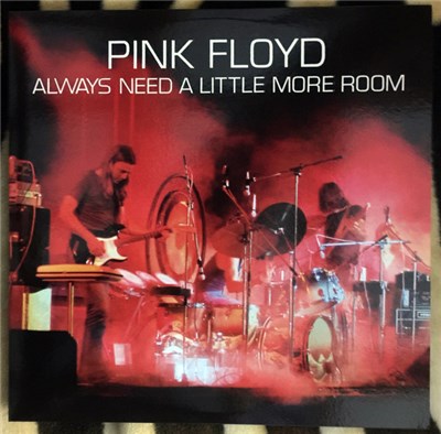 Pink Floyd - Always Need A Little More Room download mp3 flac