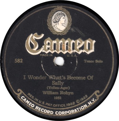 William Robyn - I Wonder What's Become Of Sally / One Million Times A Day download mp3 flac