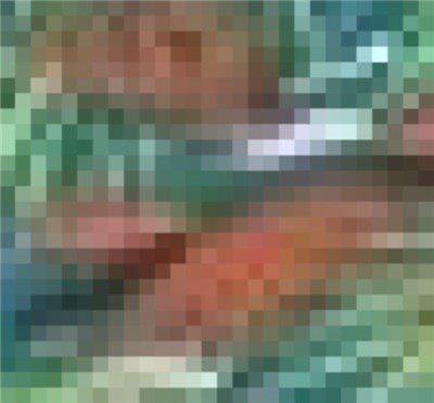 Petrels - Talus Dice / Beyond The High Savannahs download mp3 flac
