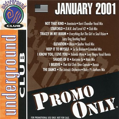 Various - Promo Only Underground Club: January 2001 download mp3 flac