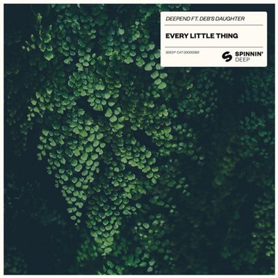Deepend Ft. Deb’s Daughter - Every Little Thing download mp3 flac