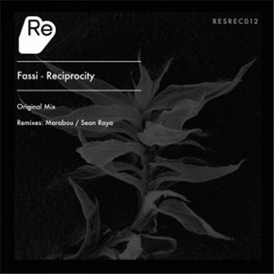 Fassi - Reciprocity download mp3 flac