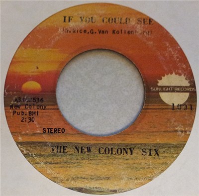 The New Colony Six - If You Could See / Roll On download mp3 flac