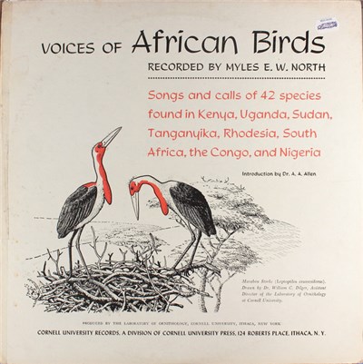 No Artist - Voices Of African Birds download mp3 flac