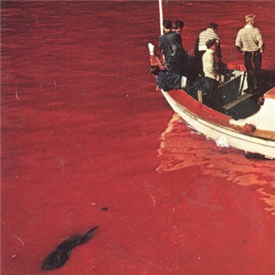 Showhorses - I Am Returned download mp3 flac