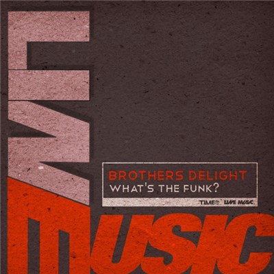 Brothers Delight - What's The Funk? download mp3 flac