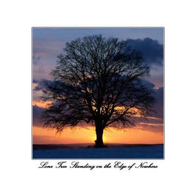 WMRI - Lone Tree Standing On The Edge Of Nowhere download mp3 flac