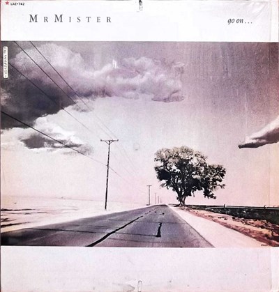 Mr. Mister - Go On ... download mp3 flac