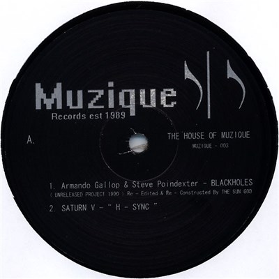 Various - The House Of Muzique download mp3 flac