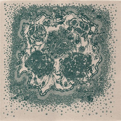 Extinción De Los Insectos - Extinción De Los Insectos download mp3 flac