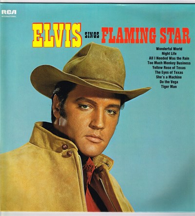 Elvis Presley - Elvis Sings "Flaming Star" download mp3 flac