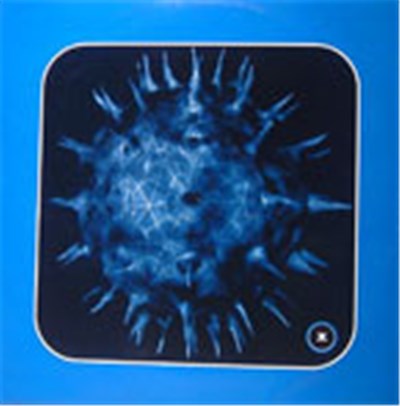 Lumpheads - The Age Of Mirrors EP download mp3 flac