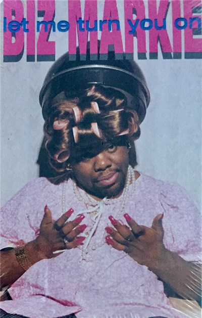 Biz Markie - Let Me Turn You On download mp3 flac