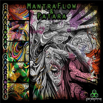 Mantra Flow & Patara - Imaginary Craziness download mp3 flac
