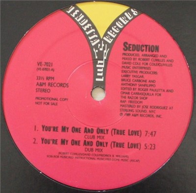 Seduction - You're My One And Only (True Love) download mp3 flac
