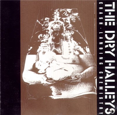 The Dry Halleys - Crash-Landing Chemistry download mp3 flac