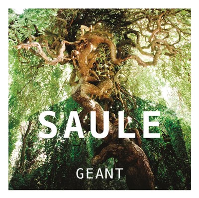 Saule - Géant download mp3 flac