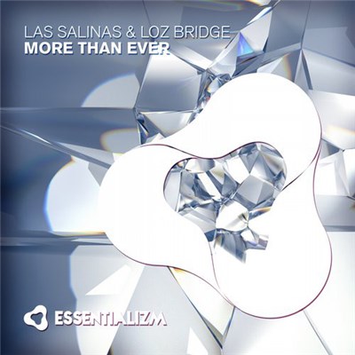 Las Salinas & Loz Bridge - More Than Ever download mp3 flac