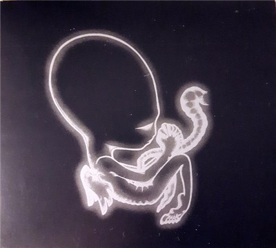Sigur Rós - Ágætis Byrjun download mp3 flac