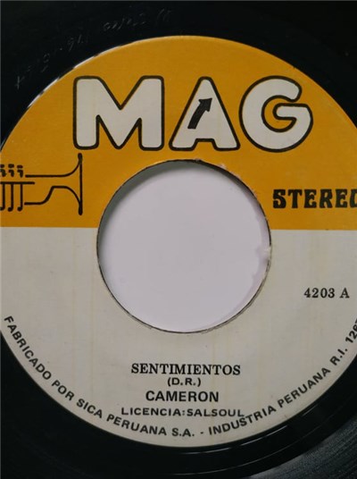 Rafael Cameron - Sentimientos / Juntos download mp3 flac