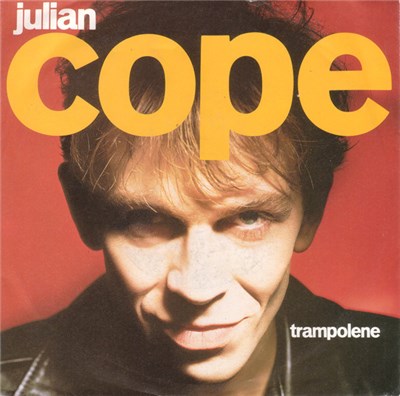 Julian Cope - Trampolene download mp3 flac